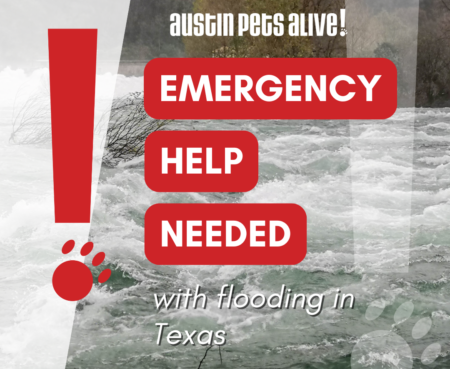 Kerville Emergency Social Social Media1