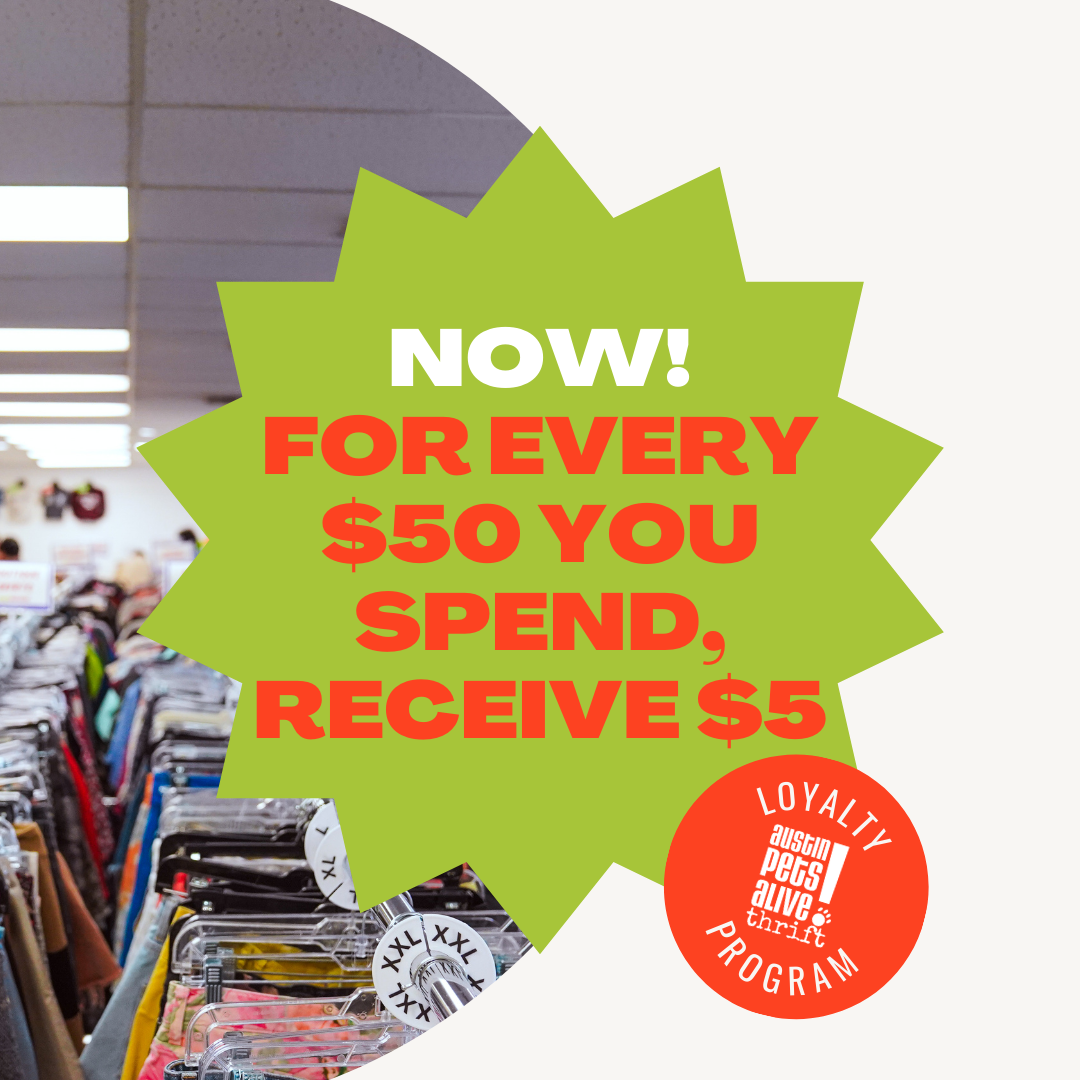 March 17th Updates 1