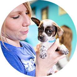 Nokill Volunteer Icon