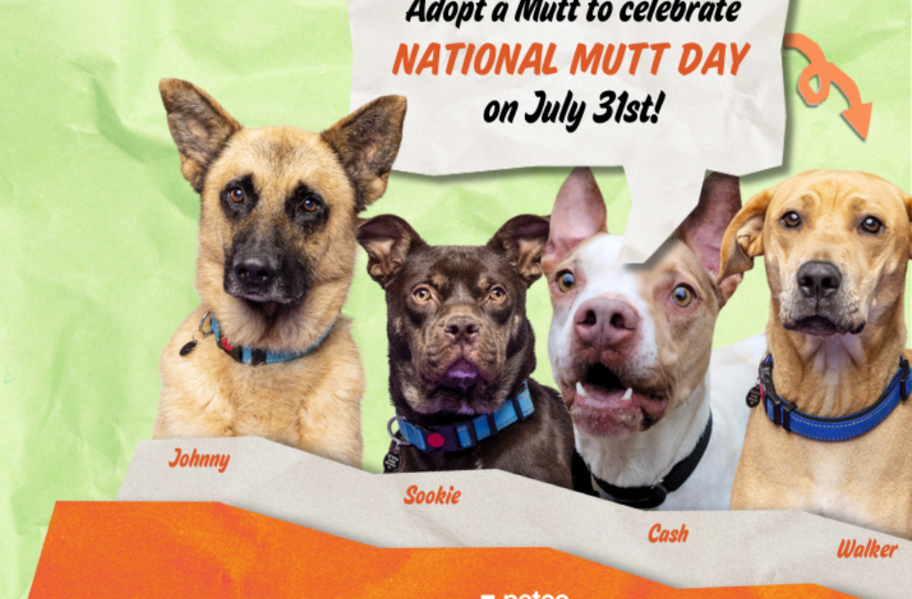 Petco Mutt Day Thumbnail
