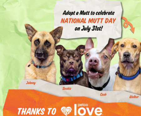 Petco Mutt Day Thumbnail