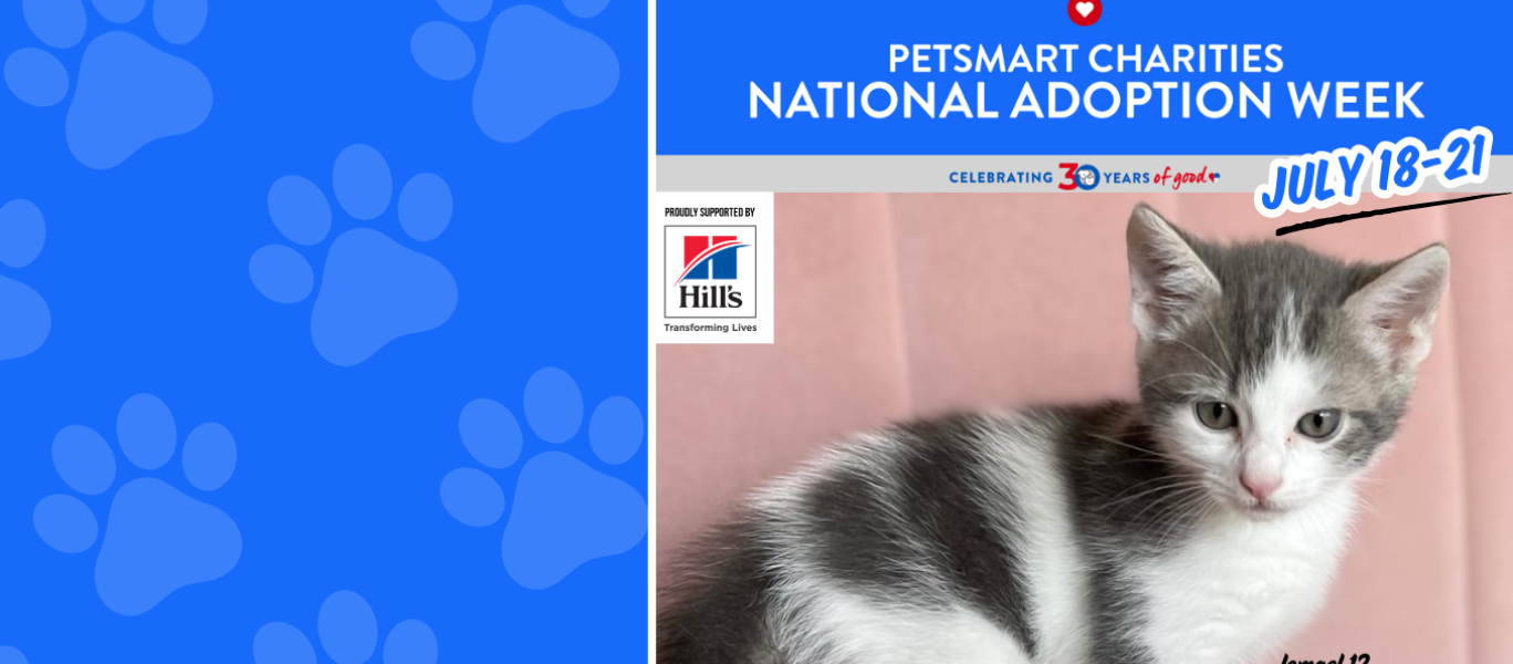 Pet Smart Charities Adoption Week Blog Banner