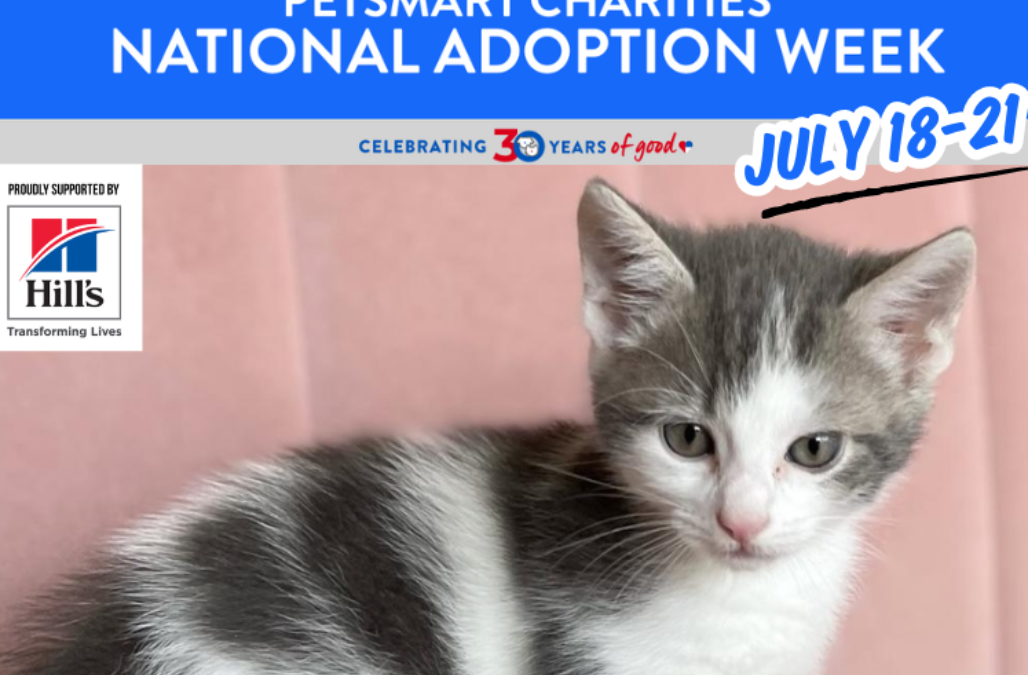 Pet Smart Charities Adoption Week Thumbnail