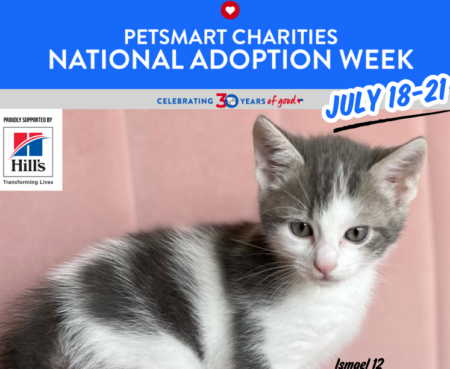 Pet Smart Charities Adoption Week Thumbnail