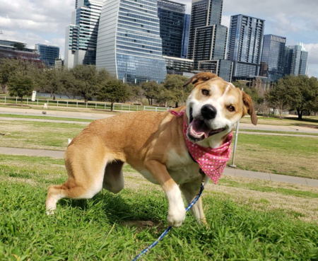 Photo Alva with downtown austin Photo Credit to Karen Hardwick