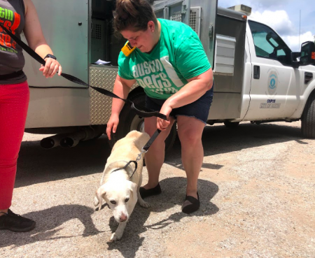 Screen Shot 2021 07 03 at 2 27 36 PM