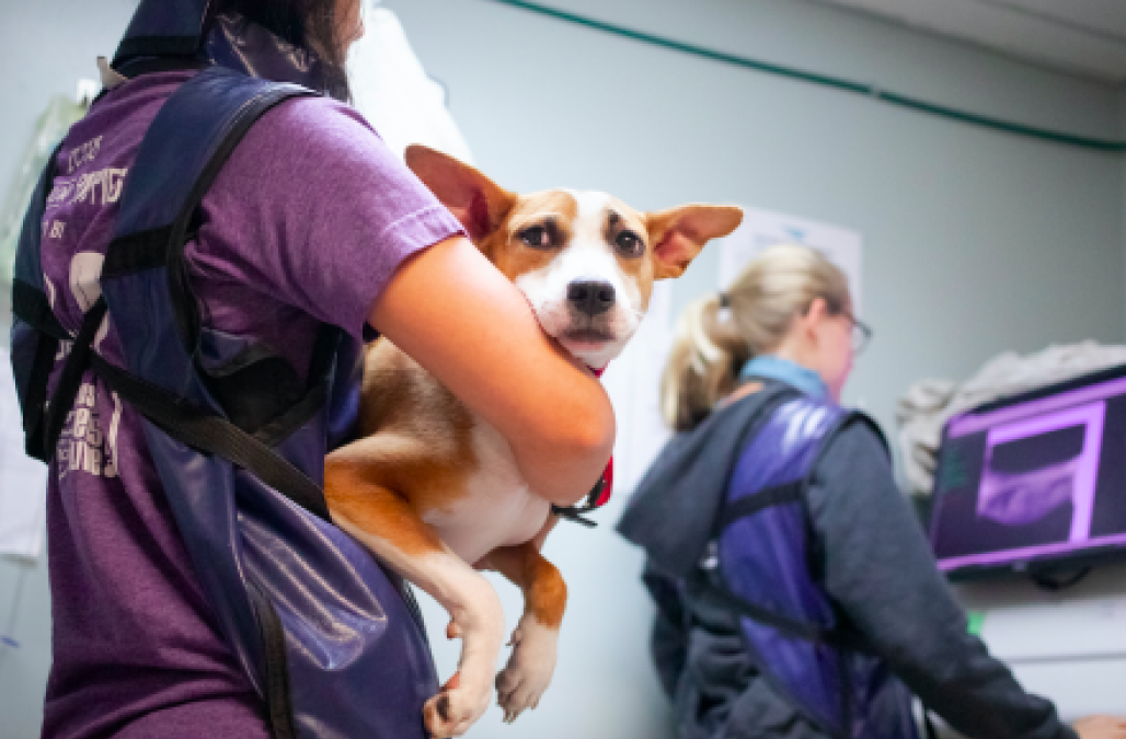 Screen Shot 2021 09 20 at 5 55 10 PM