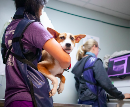 Screen Shot 2021 09 20 at 5 55 10 PM