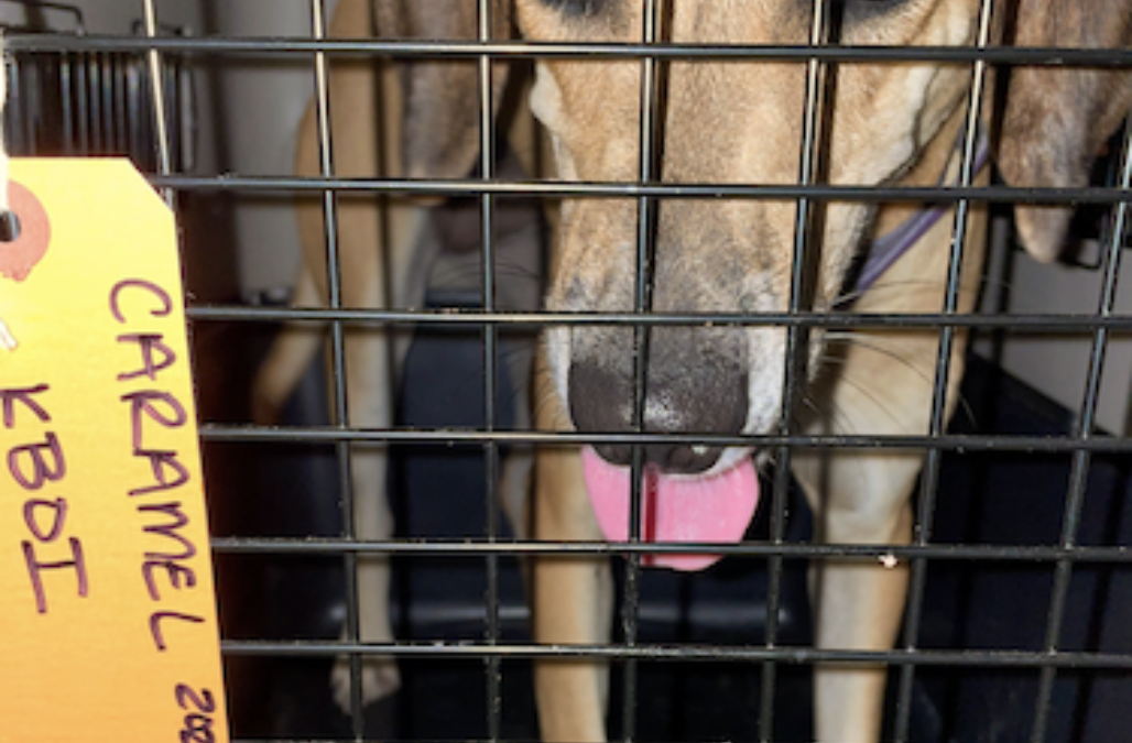 Screen Shot 2021 10 21 at 5 55 18 PM