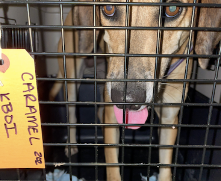 Screen Shot 2021 10 21 at 5 55 18 PM