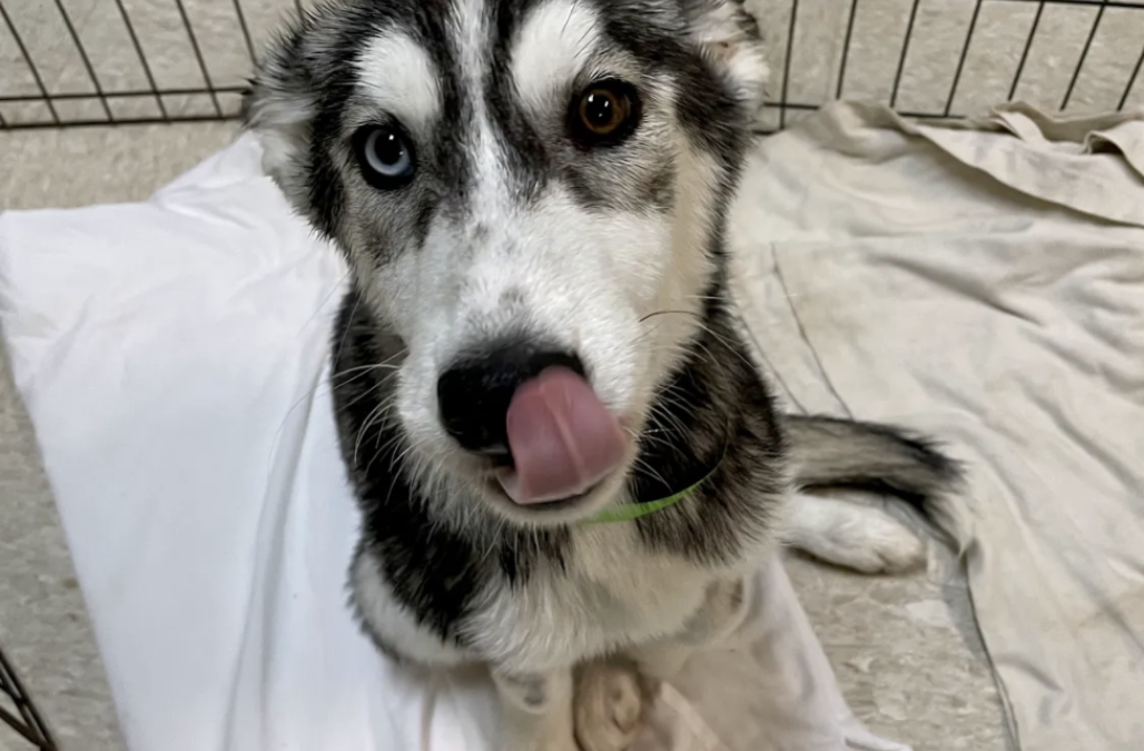 Screen Shot 2021 12 07 at 8 05 09 AM