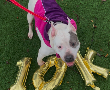 Screen Shot 2025 01 30 at 11 54 02 AM