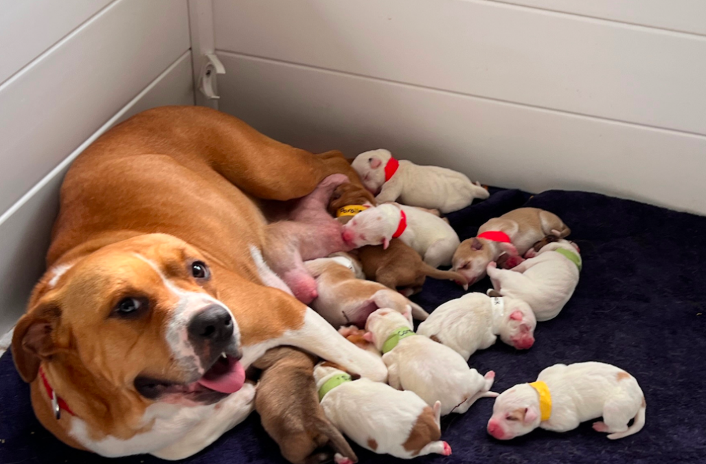 Screen Shot 2025 08 12 at 10 22 33 AM