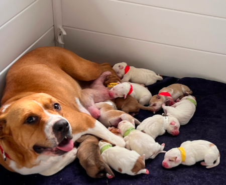 Screen Shot 2025 08 12 at 10 22 33 AM