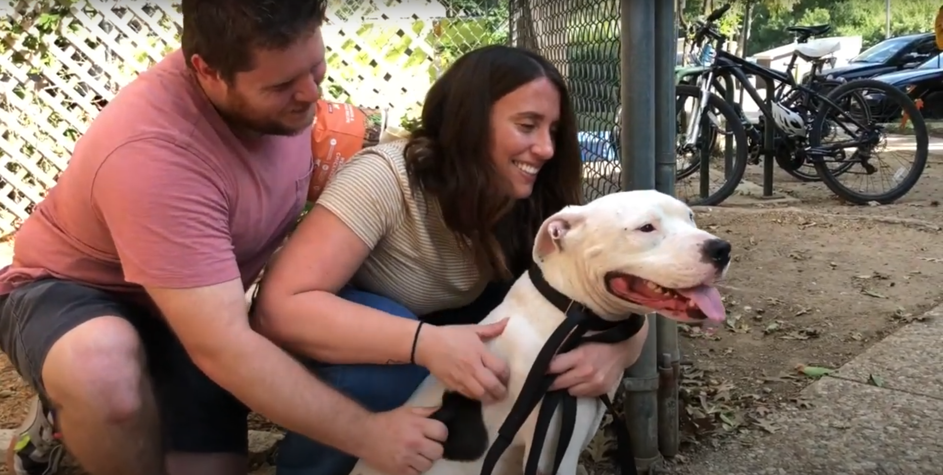 These Lives Need You Most