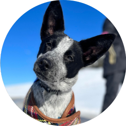 Transport Program Thumb