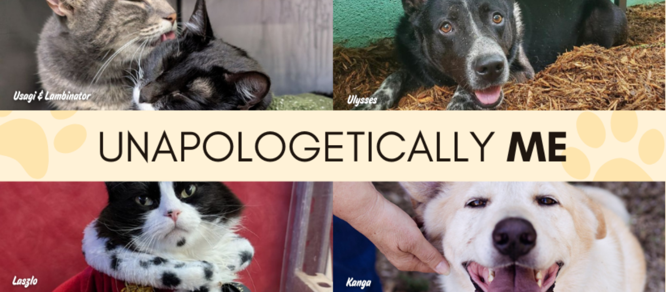 Unapologetically Me Blog Banner