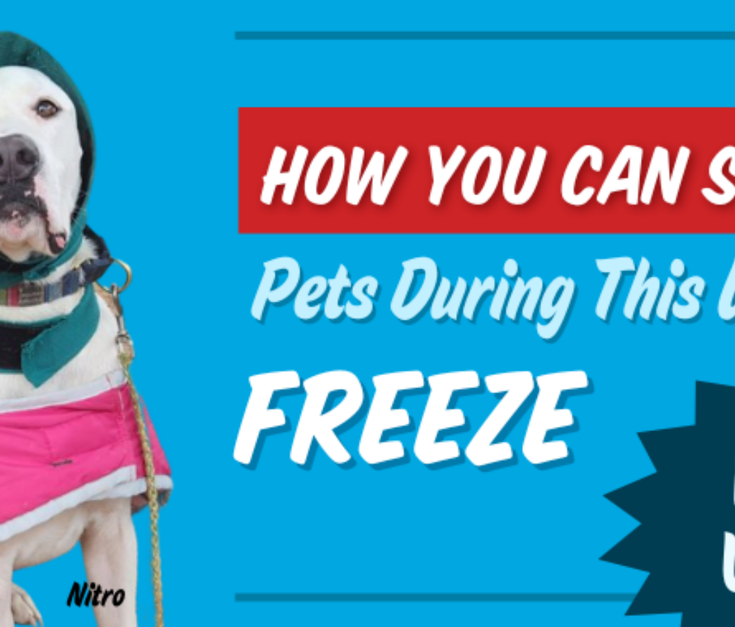 Urgent cold weather blog banner