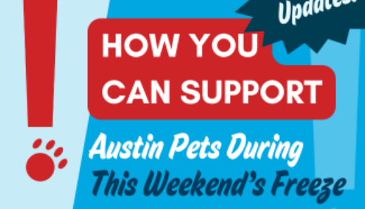 Urgent cold weather foster please blog thumbnail 1