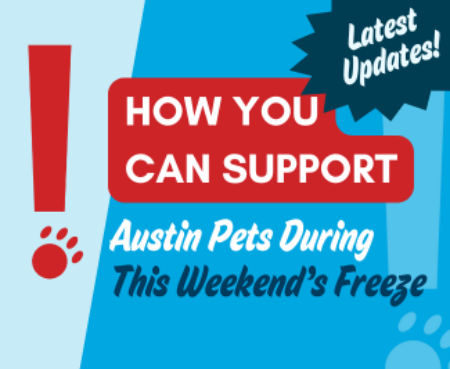 Urgent cold weather foster please blog thumbnail 1