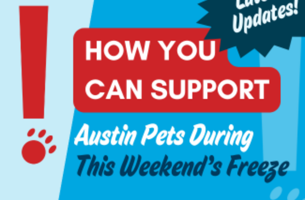 Urgent cold weather foster please blog thumbnail 1