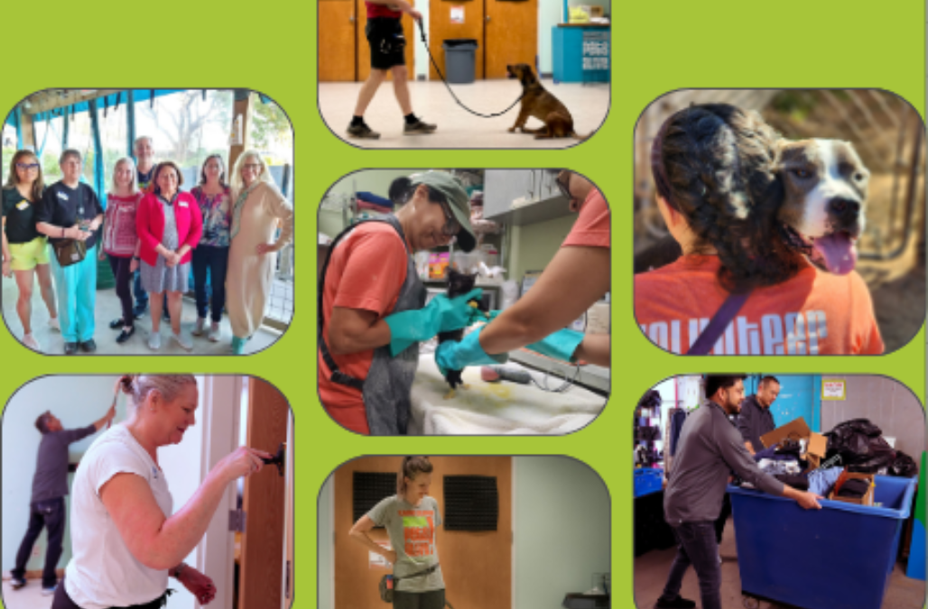 Vol Appreciation Week