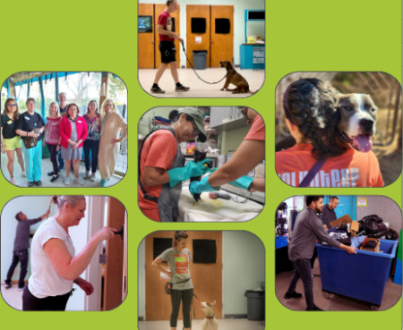 Vol Appreciation Week