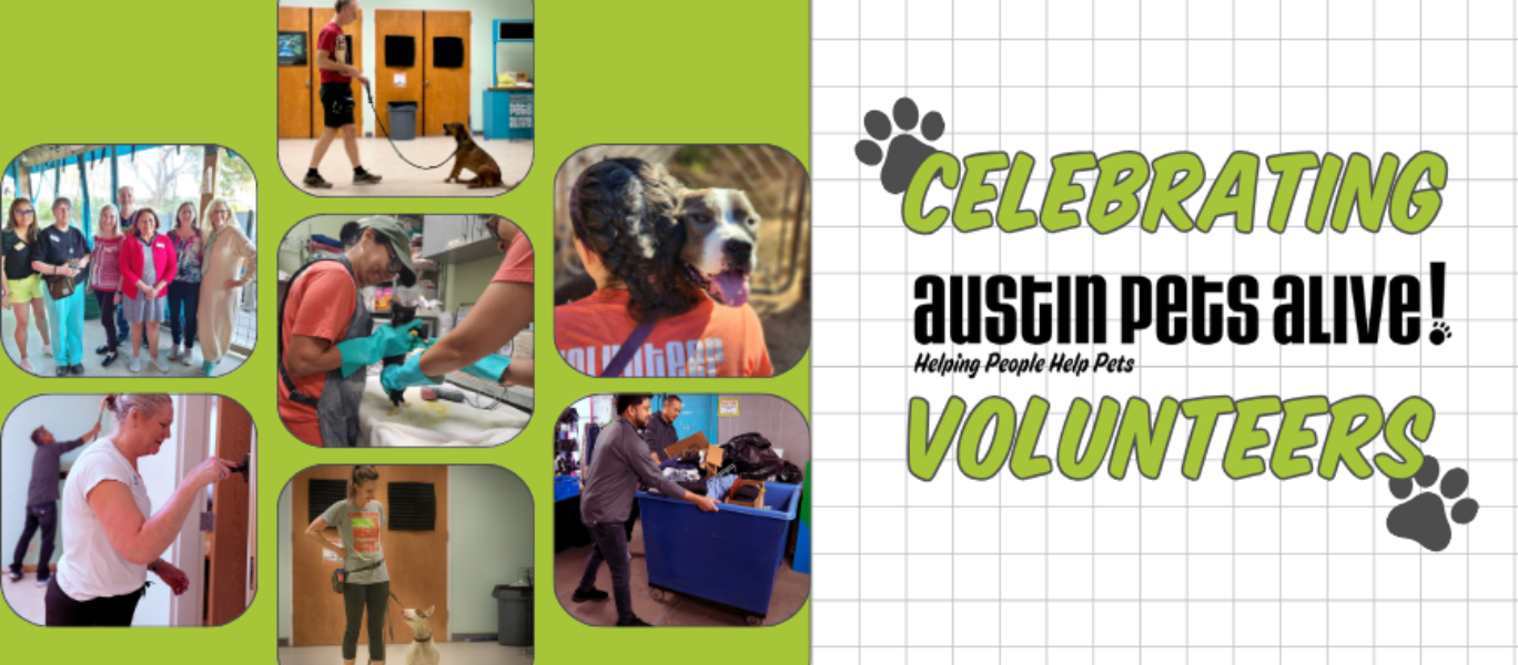 Volunteer appreciation week