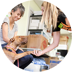 Volunteers Impact Icon