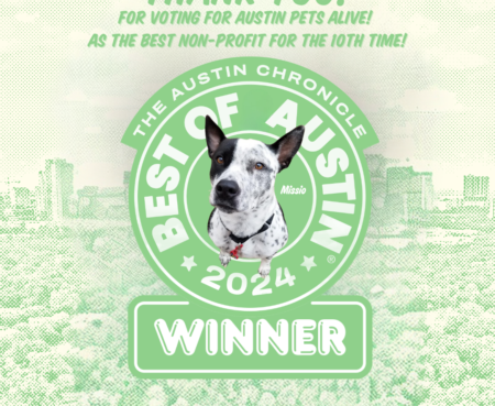 Vote for APA Best of Austin 11
