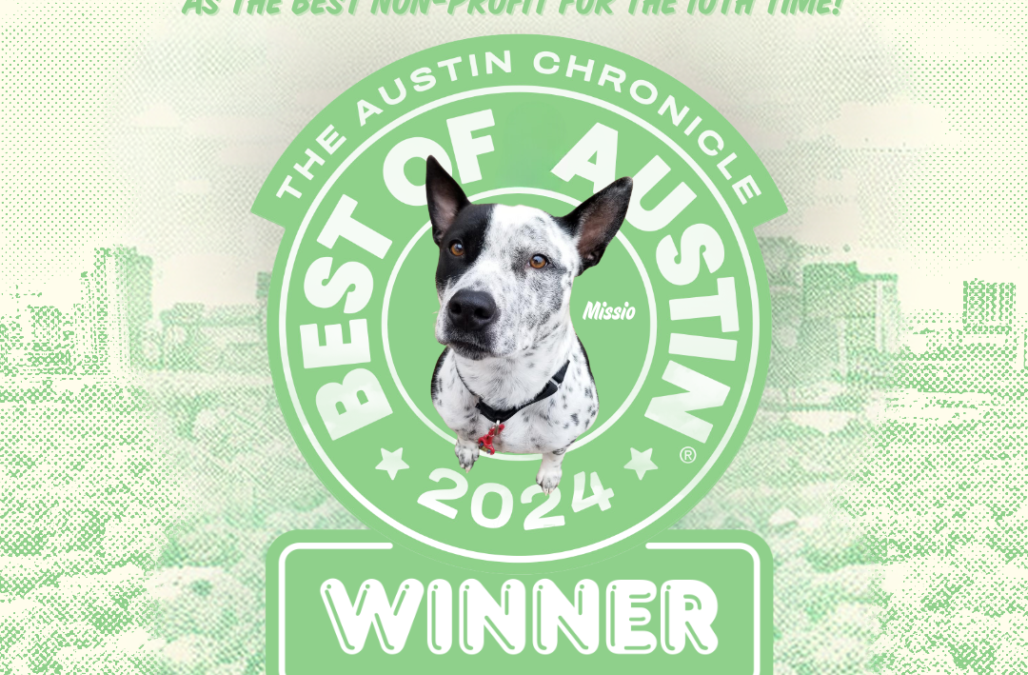 Vote for APA Best of Austin 11