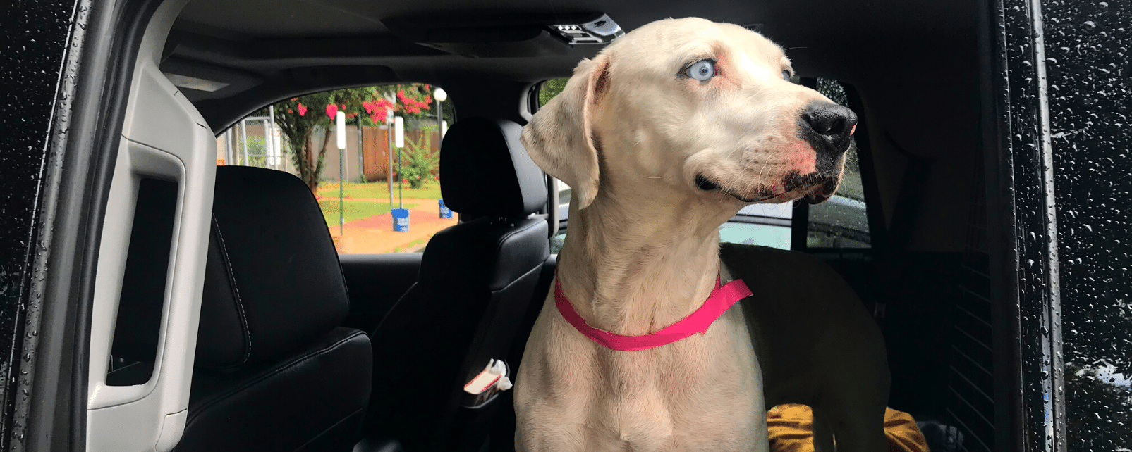 Website Banners 2021 5