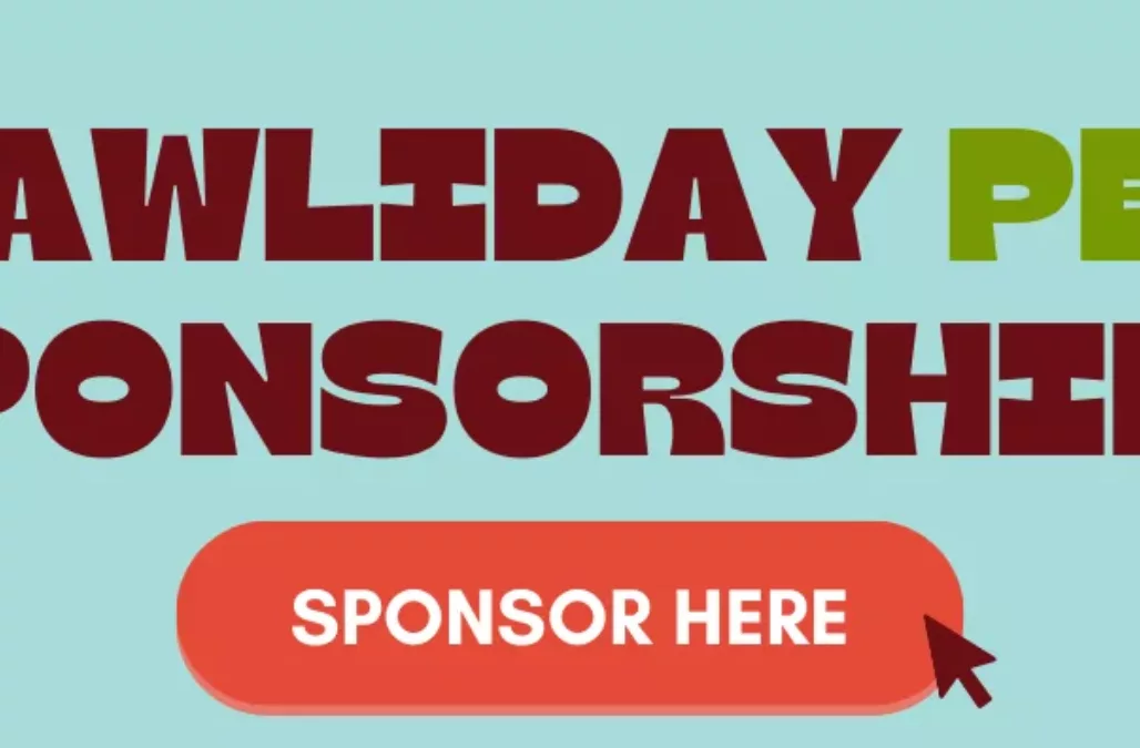 Afc13f4c 7a8e 11ee a051 0ab9cc0296bd